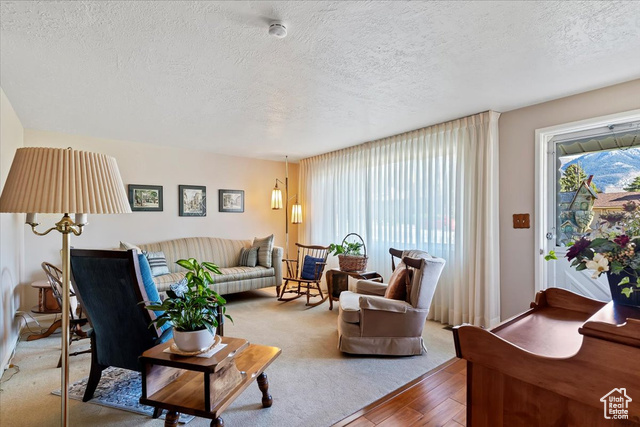 Photo 8 for MLS #2119028 at 3197 Mount Lomond Dr