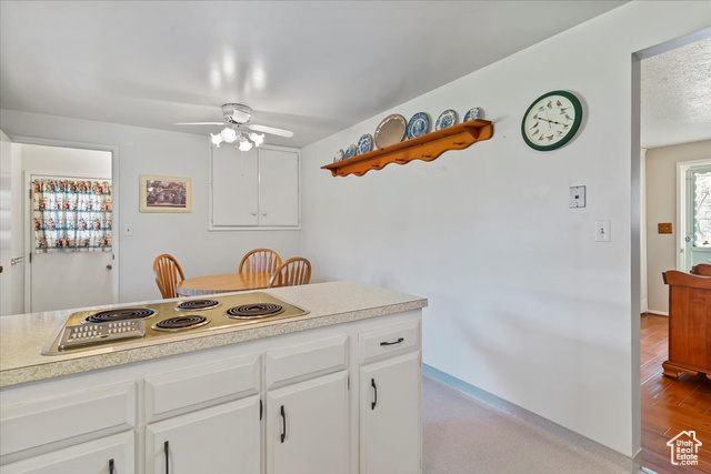 Photo 11 for MLS #2119028 at 3197 Mount Lomond Dr
