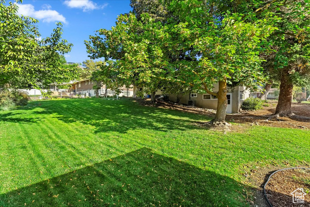 Photo 3 for MLS #2119028 at 3197 Mount Lomond Dr