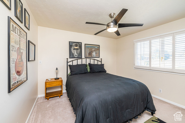 Photo 18 for MLS #2119032 at 2043 E Brady Creek Cir