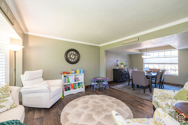 Photo 12 for MLS #2119032 at 2043 E Brady Creek Cir