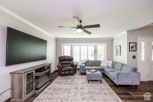 Photo 3 for MLS #2119032 at 2043 E Brady Creek Cir