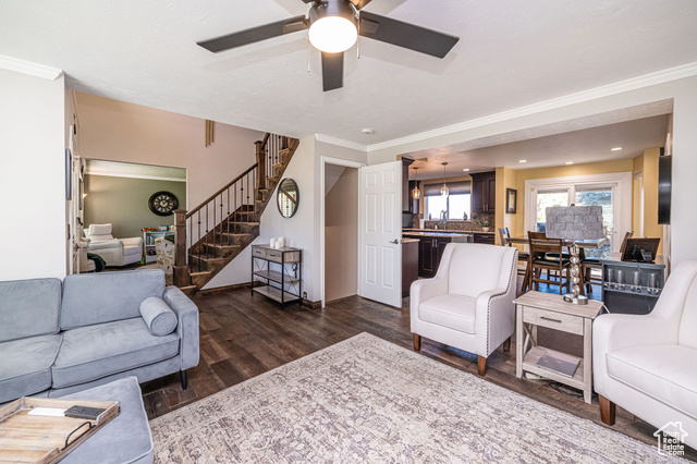 Photo 6 for MLS #2119032 at 2043 E Brady Creek Cir