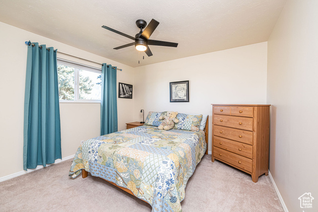 Photo 19 for MLS #2119032 at 2043 E Brady Creek Cir