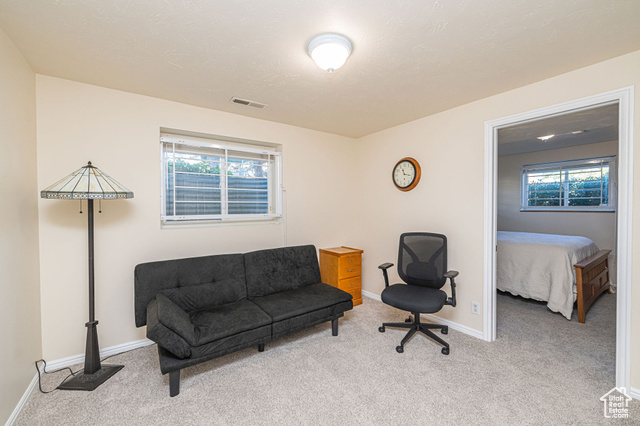 Photo 24 for MLS #2119032 at 2043 E Brady Creek Cir