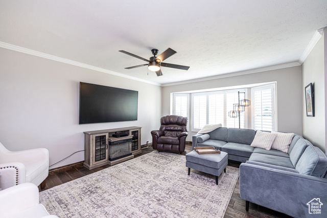 Photo 4 for MLS #2119032 at 2043 E Brady Creek Cir
