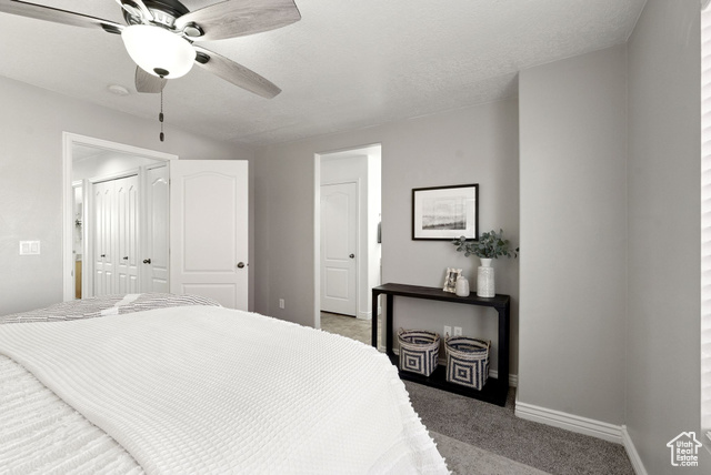 Photo 25 for MLS #2119039 at 14074 S Julien Cv
