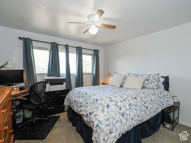 Photo 23 for MLS #2119041 at 3091 S Teton Dr