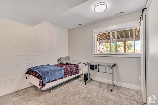 Photo 21 for MLS #2119048 at 413 E Steep Mountain Dr