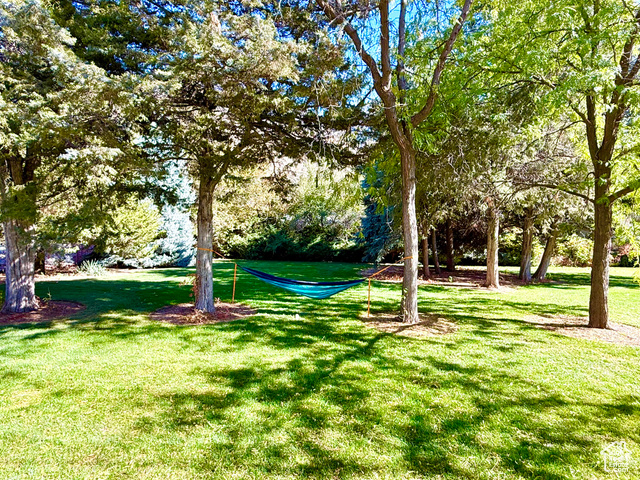 Photo 14 for MLS #2119066 at 915 E 820 North #24