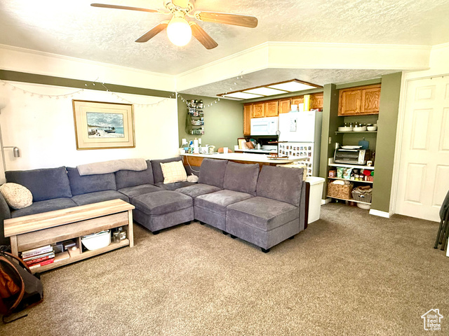 Photo 4 for MLS #2119066 at 915 E 820 North #24