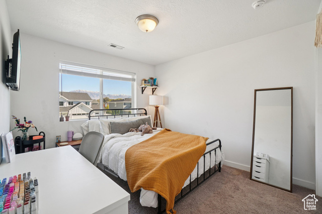 Photo 42 for MLS #2119103 at 898 S 240 West