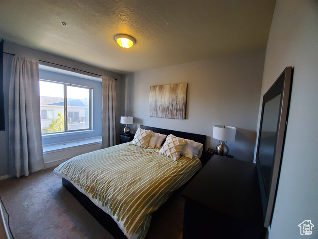 Photo 16 for MLS #2119114 at 165 W Albion Village Way #201