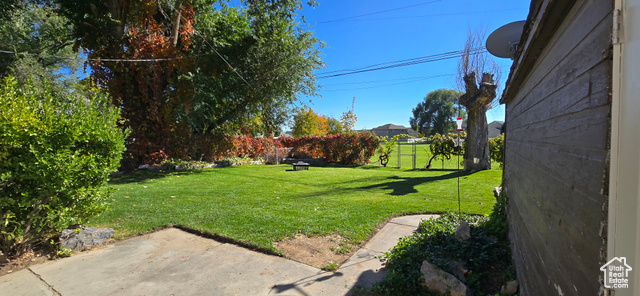 Photo 10 for MLS #2119129 at 351 Washington Ave