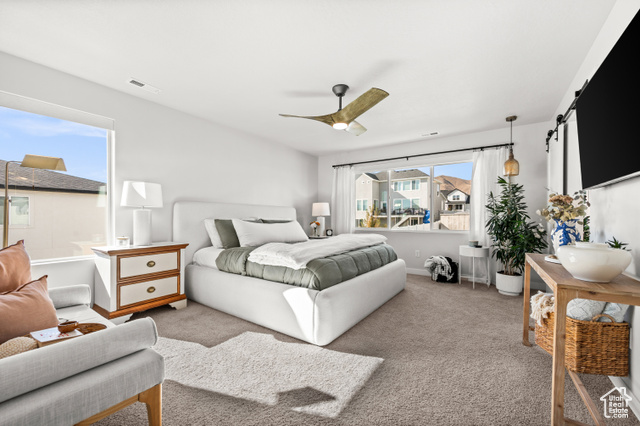 Photo 21 for MLS #2119132 at 2837 S Greenhead Dr
