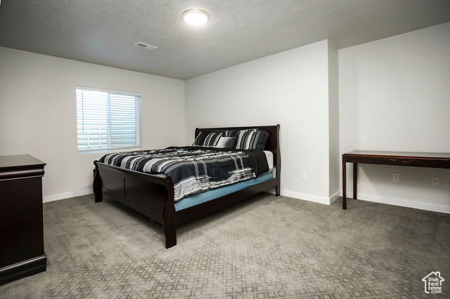 Photo 51 for MLS #2119139 at 13592 S Conie Bell Dr