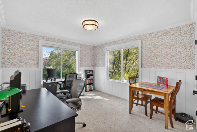Photo 24 for MLS #2119151 at 177 W Canyon Crest Rd