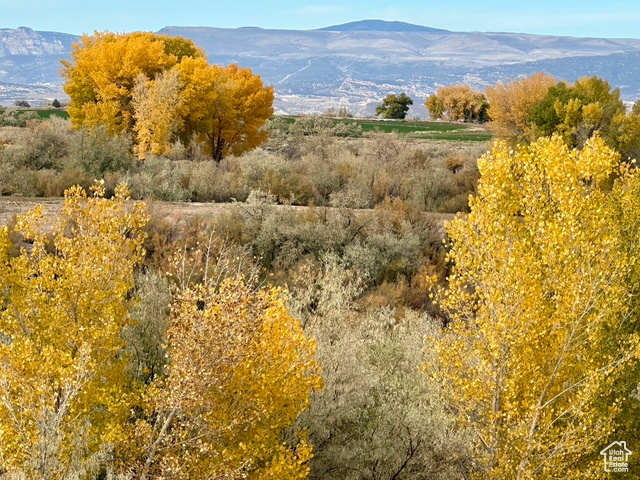 Photo 41 for MLS #2119157 at 2101 E Goose Ranch Rd