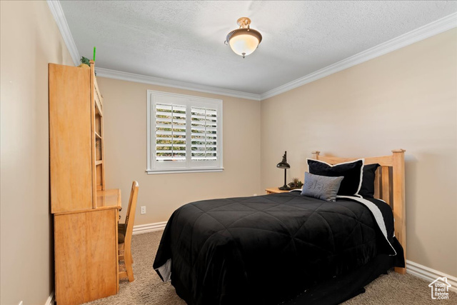 Photo 19 for MLS #2119204 at 10543 S 2330 West