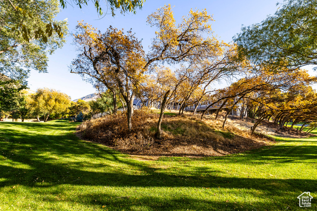 Photo 8 for MLS #2119237 at 388 Quail Run Rd