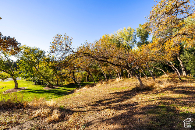 Photo 85 for MLS #2119237 at 388 Quail Run Rd