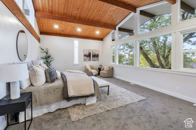 Photo 11 for MLS #2119240 at 1175 N Locust Ln