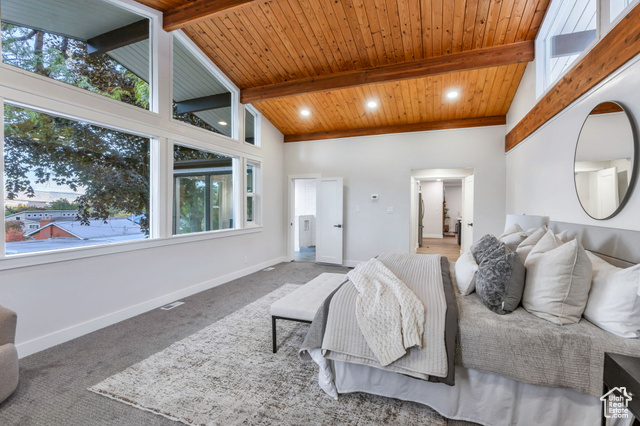 Photo 12 for MLS #2119240 at 1175 N Locust Ln