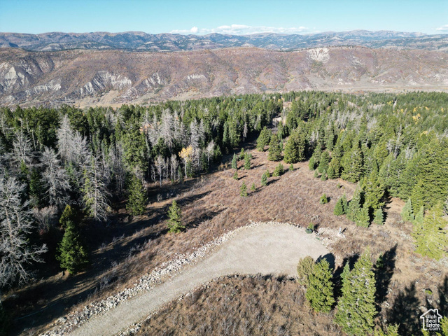 17593 S ALTA DR, Spanish Fork UT 84660