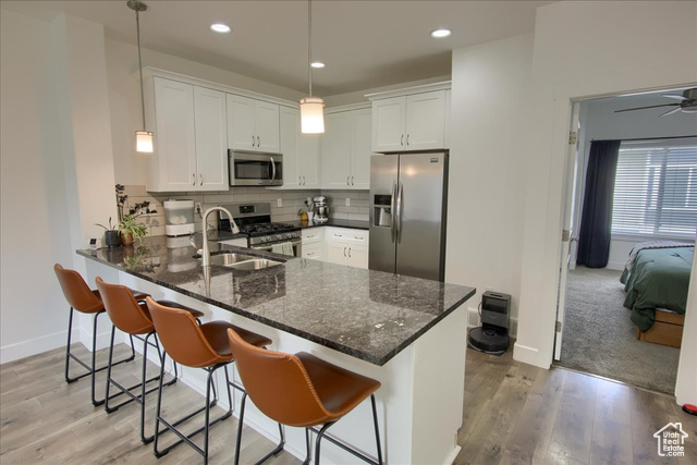 Photo 8 for MLS #2119270 at 1807 W Ikaros Ln