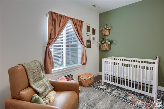 Photo 17 for MLS #2119270 at 1807 W Ikaros Ln