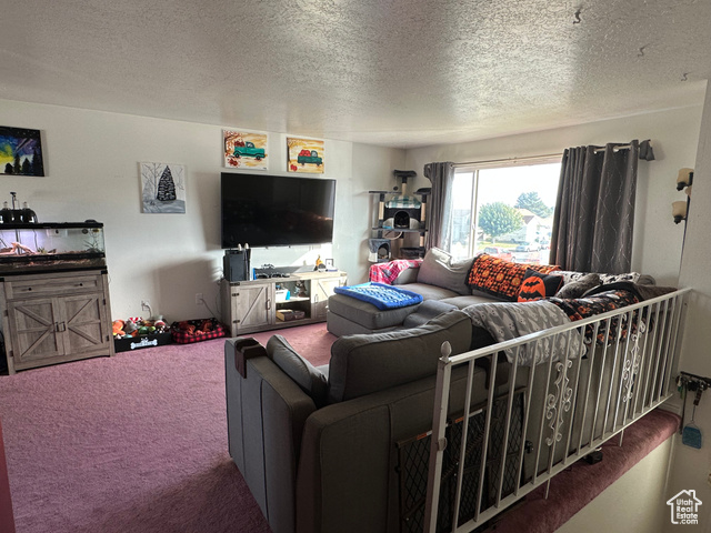 Photo 6 for MLS #2119305 at 3896 S 6325 West