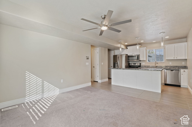 Photo 4 for MLS #2119335 at 185 E Majestic Elms Pl
