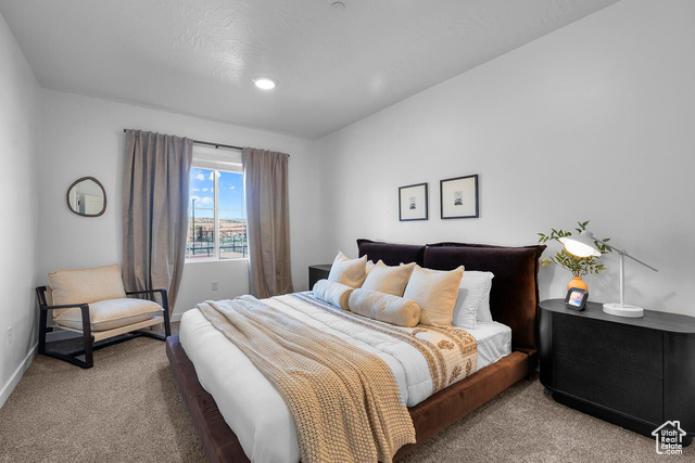 Photo 35 for MLS #2119358 at 1734 S Ripple Rock Dr #3163