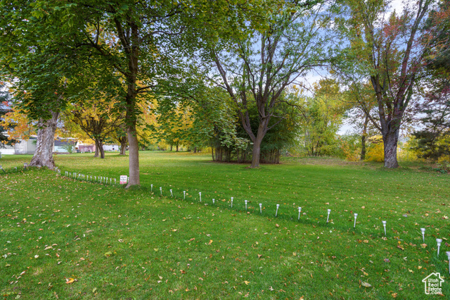 Photo 10 for MLS #2119370 at 975 E 6600 South #18
