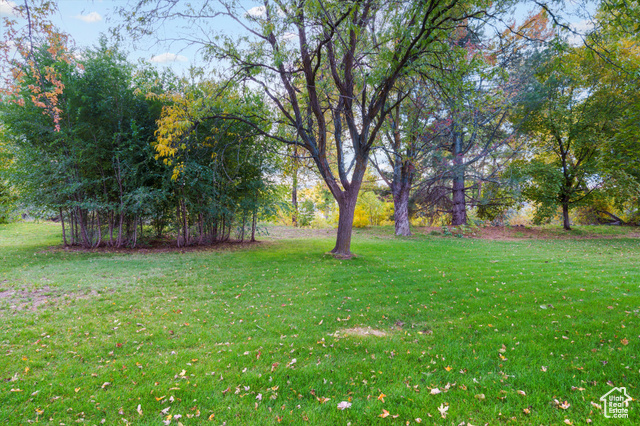 Photo 11 for MLS #2119370 at 975 E 6600 South #18