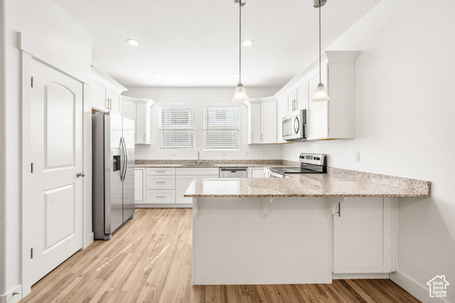 Photo 4 for MLS #2119379 at 4000 W Hardman Way
