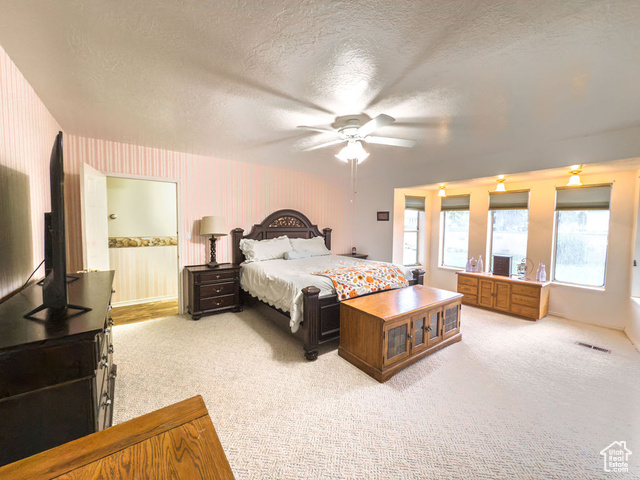 Photo 48 for MLS #2119396 at 517 N Main St