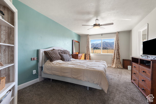 Photo 23 for MLS #2119429 at 1602 E Arrowhead Ln