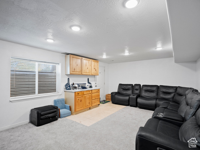 Photo 14 for MLS #2119443 at 1010 S Anna Ekins Memorial Ln