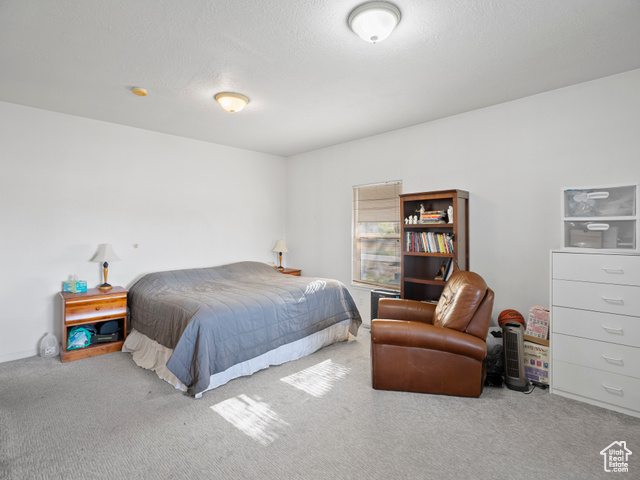 Photo 15 for MLS #2119443 at 1010 S Anna Ekins Memorial Ln
