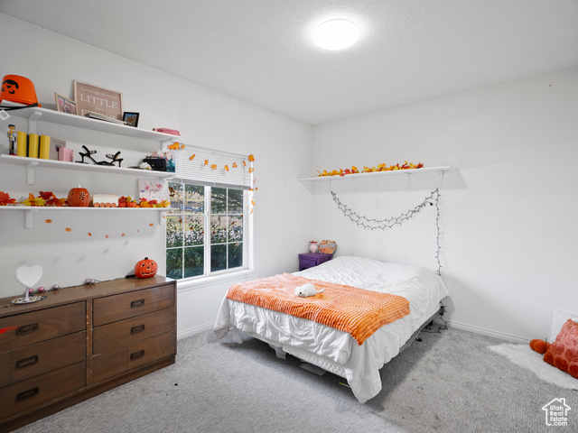 Photo 11 for MLS #2119443 at 1010 S Anna Ekins Memorial Ln