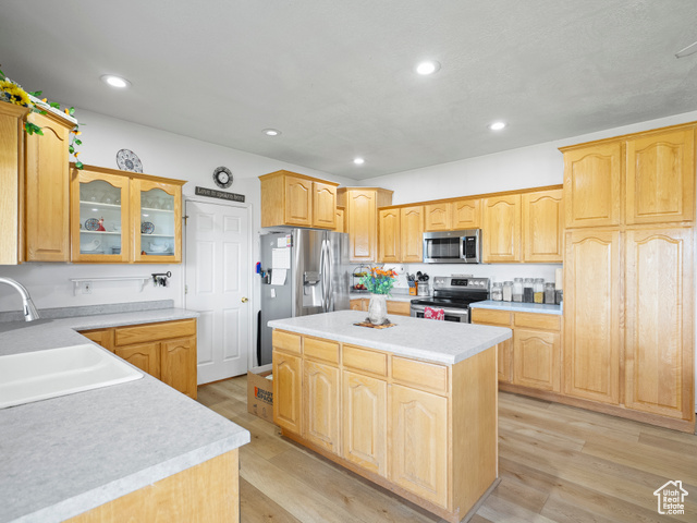 Photo 6 for MLS #2119443 at 1010 S Anna Ekins Memorial Ln