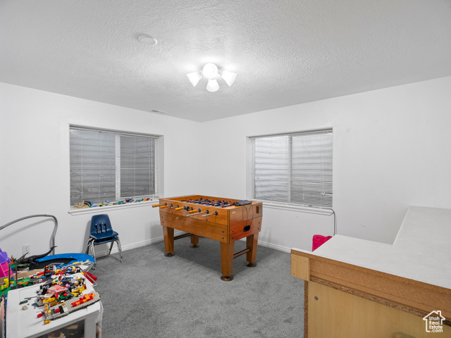 Photo 12 for MLS #2119443 at 1010 S Anna Ekins Memorial Ln