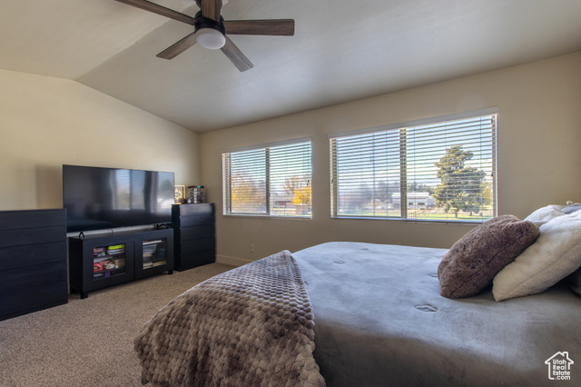 Photo 8 for MLS #2119461 at 210 S Tamarak Cir