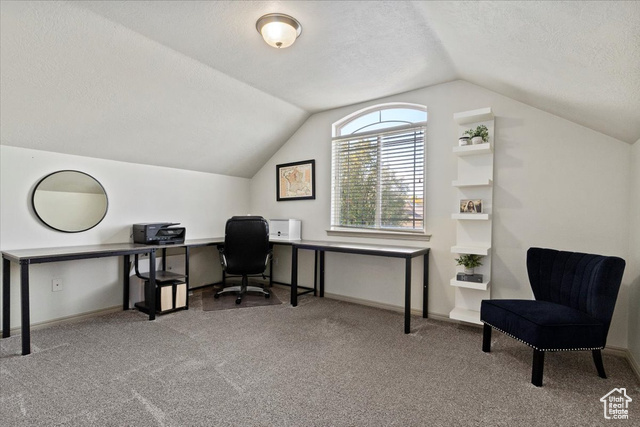 Photo 24 for MLS #2119469 at 14397 S Logan Falls Ln