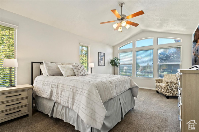 Photo 6 for MLS #2119469 at 14397 S Logan Falls Ln