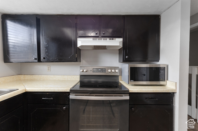 Photo 9 for MLS #2119568 at 598 E Blue Sky Dr