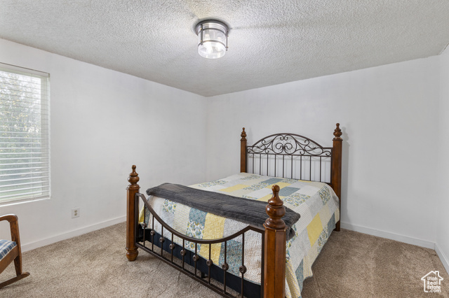 Photo 16 for MLS #2119568 at 598 E Blue Sky Dr