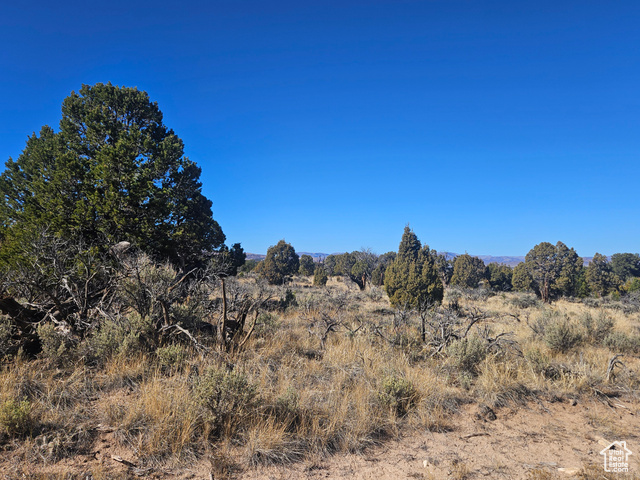 Photo 80 for MLS #2119574 at 42783 W 7750 South