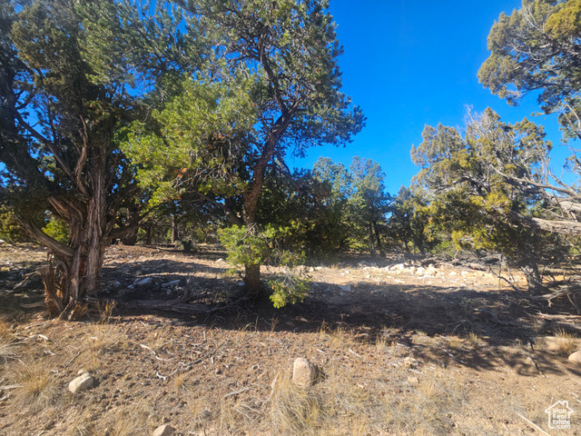 Photo 72 for MLS #2119574 at 42783 W 7750 South